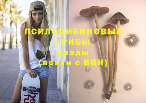 прущая мука Аркадак