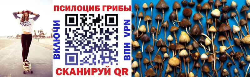 как найти закладки  блэк спрут ссылка  Псилоцибиновые грибы GOLDEN TEACHER  Новоалтайск 