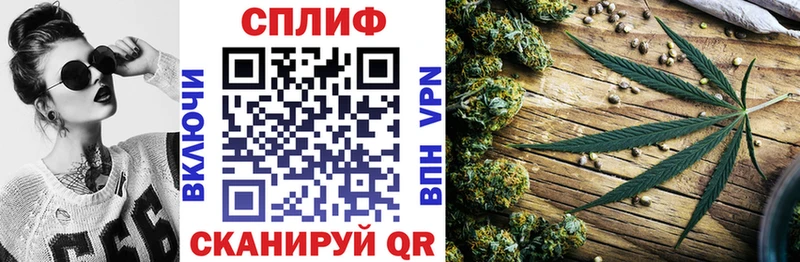 Конопля планчик  Новоалтайск 